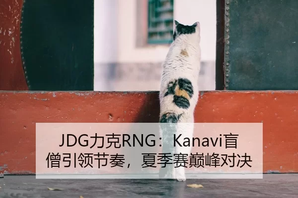 JDG力克RNG：Kanavi盲僧引领节奏，夏季赛巅峰对决