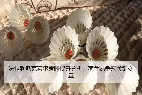 fa-la-li-lei-ke-lai-er-ce-lve-ti-sheng-fen-xi-he-lan-zhan-zheng-guan-guan-jian-bian-liang-2-478.jpg